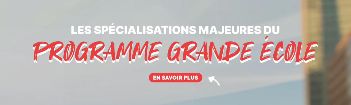 les spécialisations majeures du programme grande école